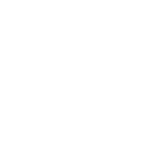 Icon eines Fußes mit Blitz – steht für Fußbeschwerden und Schmerz.