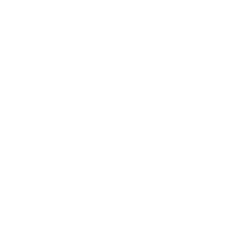 Icon eines Vogels – Symbol für den Vogel des Jahres.